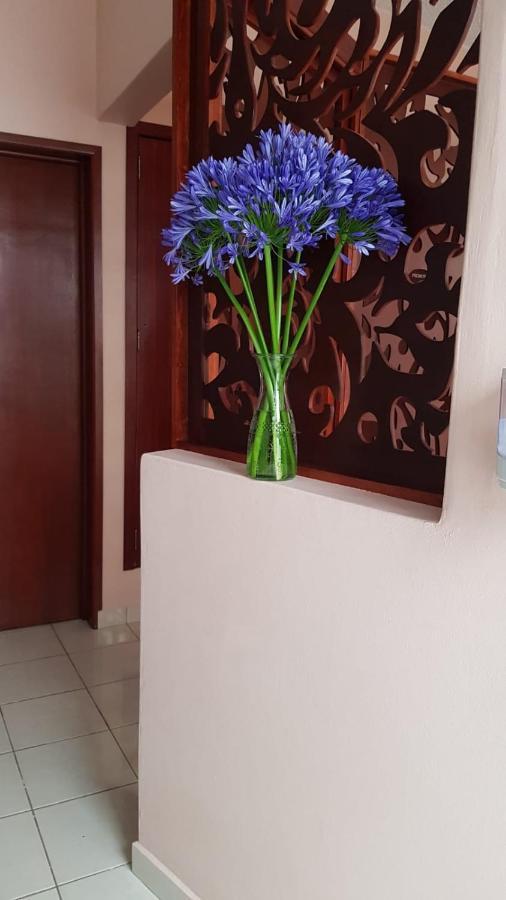Vila Casa Margarita Oaxaca Exteriér fotografie